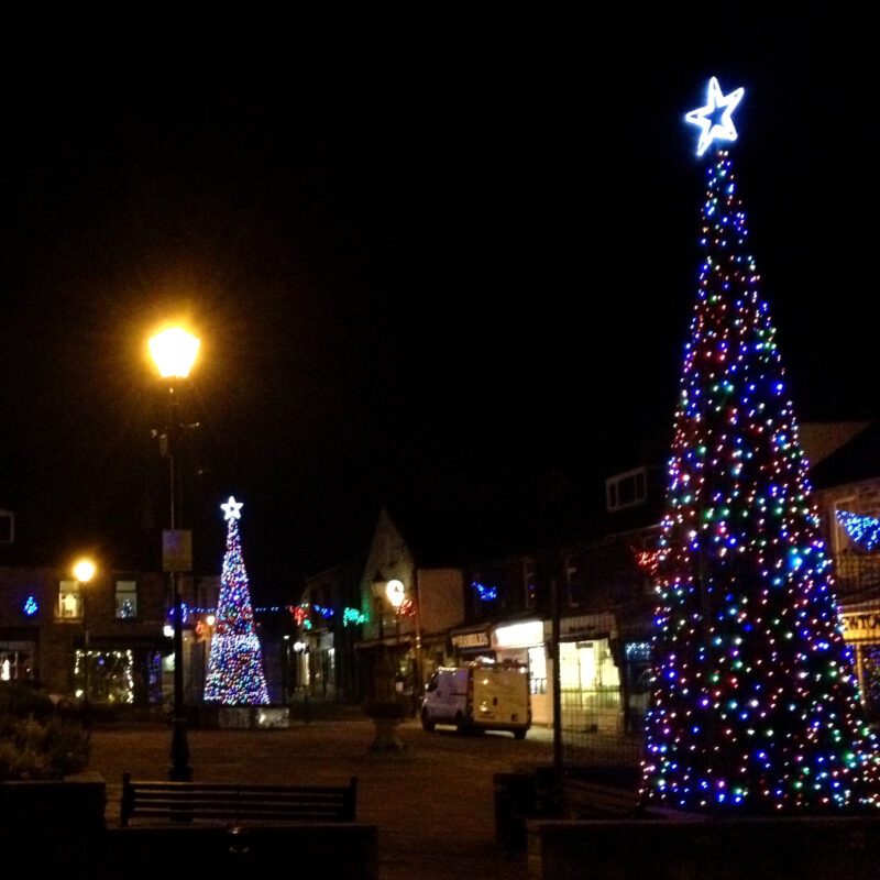 town square christmas trees